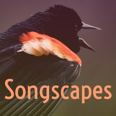 Songscapes