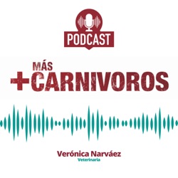 Los Veterinarios NO sabemos de nutrición