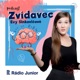 Kreveta pistolník umí zabít zvukem a vyvinout teplotu jako na Slunci. Jak to dělá?