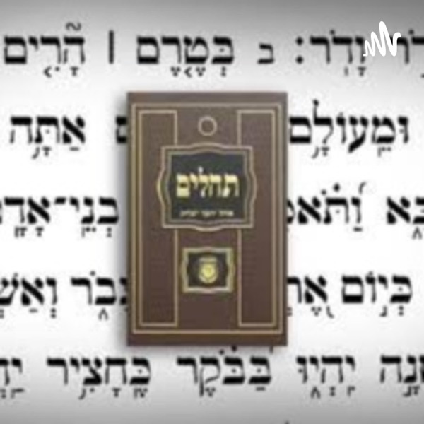 Insights on the Rebbe's Kapitel