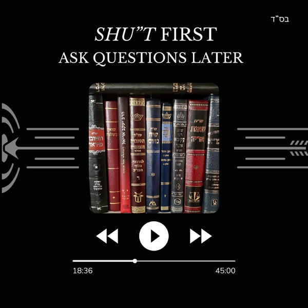 Shu"T First, Ask Questions Later Image