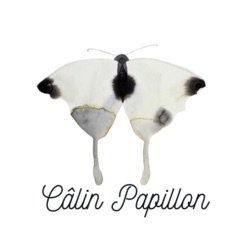 Câlin Papillon