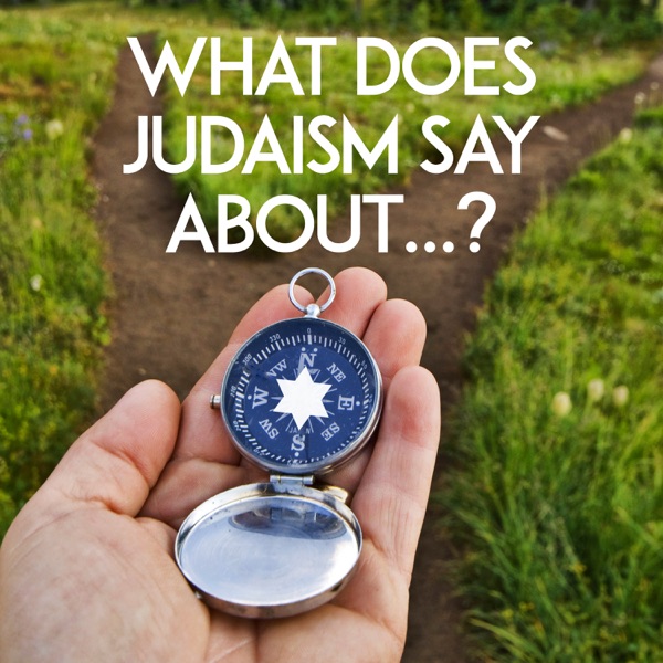 What Does Judaism Say About...? Image