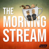 The Morning Stream - Scott Johnson
