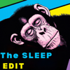 The Sleep Edit - Craig Canapari, MD and Arielle Greenleaf