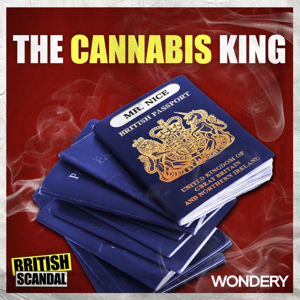 The Cannabis King | The Comedown photo