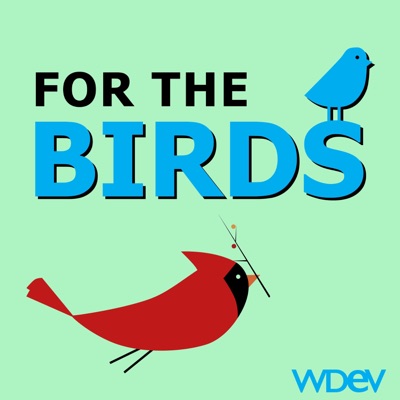 For the Birds For the Birds