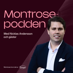 #13 – Gun Nilsson: från vd för investmentbolaget MSAB till styrelseproffs och tungviktare inom svenskt näringsliv