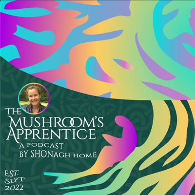 The Mushroom's Apprentice FREE The Mushroom's Apprentice FREE