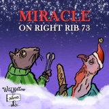 Wild Hollow Shorts: Miracle on Right Rib 73