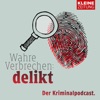 delikt – Wahre Verbrechen aus Österreichs Süden