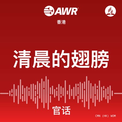 AWR - 清晨的翅膀