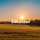 Be, så skal dere få! | Tale i Misjonssalen Grimstad