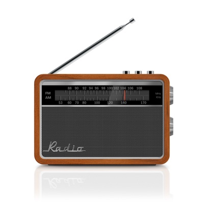 Transistor Radio:Doug Dylan