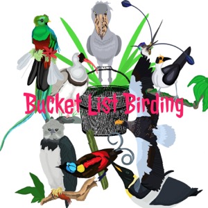 Bucket List Birding