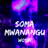 Soma Mwanangu (Wosia) - Nurdin Mihungo