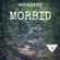 EUROPESE OMROEP | PODCAST | Morbid - Morbid Network | Wondery