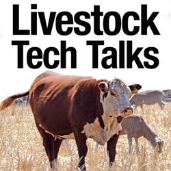 S03E10 – Kirklands focus farm – technology supporting prime lamb production