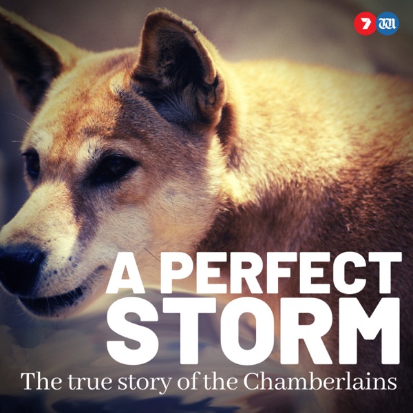 A Perfect Storm: The True Story of The Chamberlains image