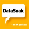 DataSnak