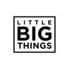 LITTLE BIG THINGS - Andréa Bensaid