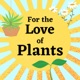 For The Love of Plants Episode 9 – October:  Mr Plant Geek