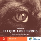 2 - Lo que los Perros Vieron - México - Suspenso