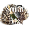 Sound Bits - Rex .