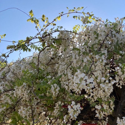 時々美術_at GAMOYON Gallery