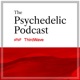 Dr. Rachelle C. Sampson - Breaking Patterns, Building Vision: Psychedelics in Executive Coaching