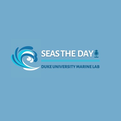 Seas The Day:Seas The Day Podcast - Duke University Marine Lab