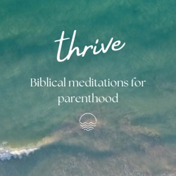 Thrive Biblical Meditation