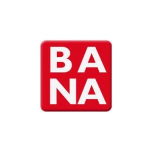 BANA Braille Bits