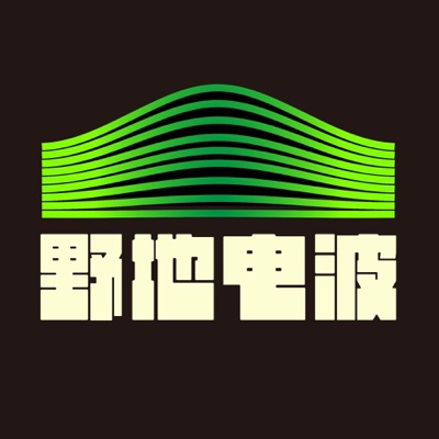 野地电波 野地电波