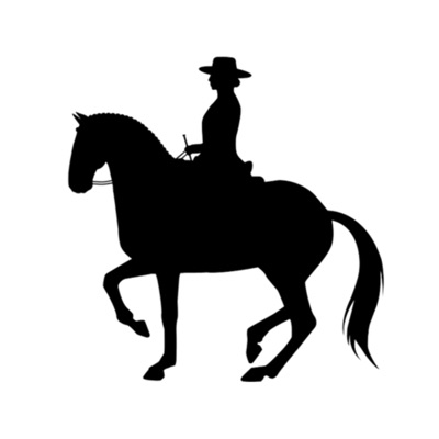 Klaudia Duif • Horsemanship und Reitkunst