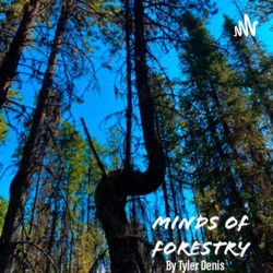 Minds of Forestry