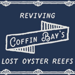 Reviving Coffin Bay's Lost Oyster Reefs