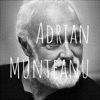 Adrian Munteanu - Soneforisme - (video)