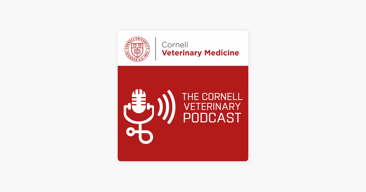 the-cornell-veterinary-podcast-on-apple-podcasts