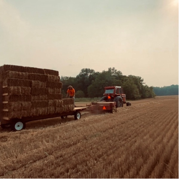 Two Young Farmers Podcast Image