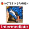 Notes in Spanish Intermediate - Notes in Spanish Intermediate