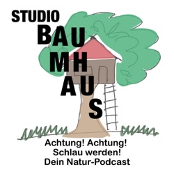 Studio Baumhaus