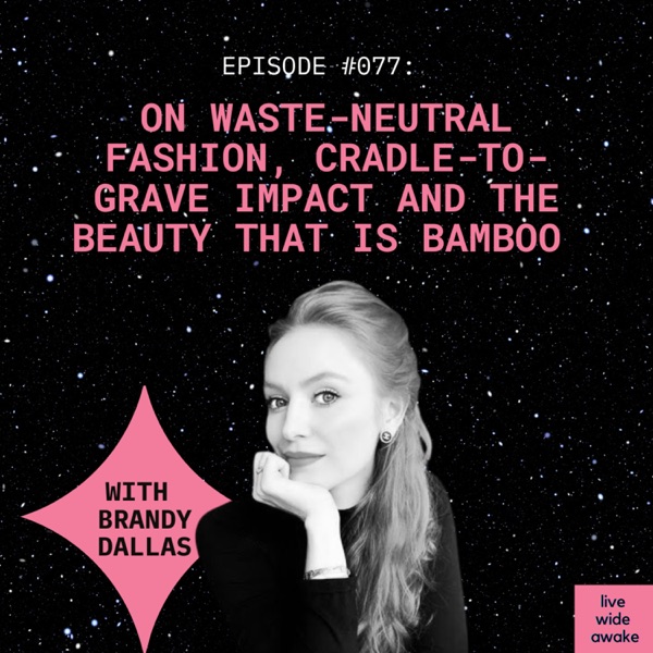 #077 Brandy Dallas: waste neutral fashion, cradle to grave impact and the beauty that is bamboo photo