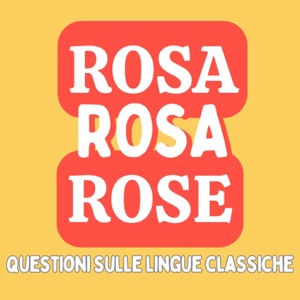 Rosa rosa rose