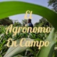 El Agrónomo En Campo