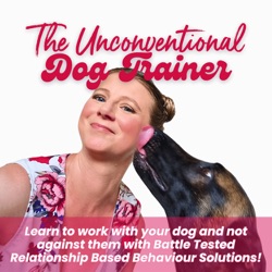 Dog Training Reimagined: The Power of The Stress Detox