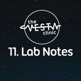 11. Lab Notes