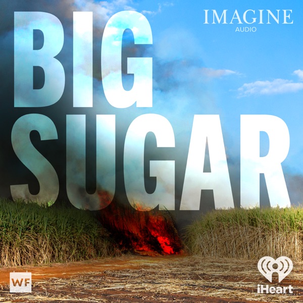Big Sugar Episode 4: Without Sugar There is No Country photo