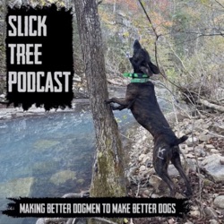 Slick Tree Podcast