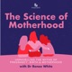 Ep 122. Roxanne Wood - Using Nature to Find Your Postpartum Village